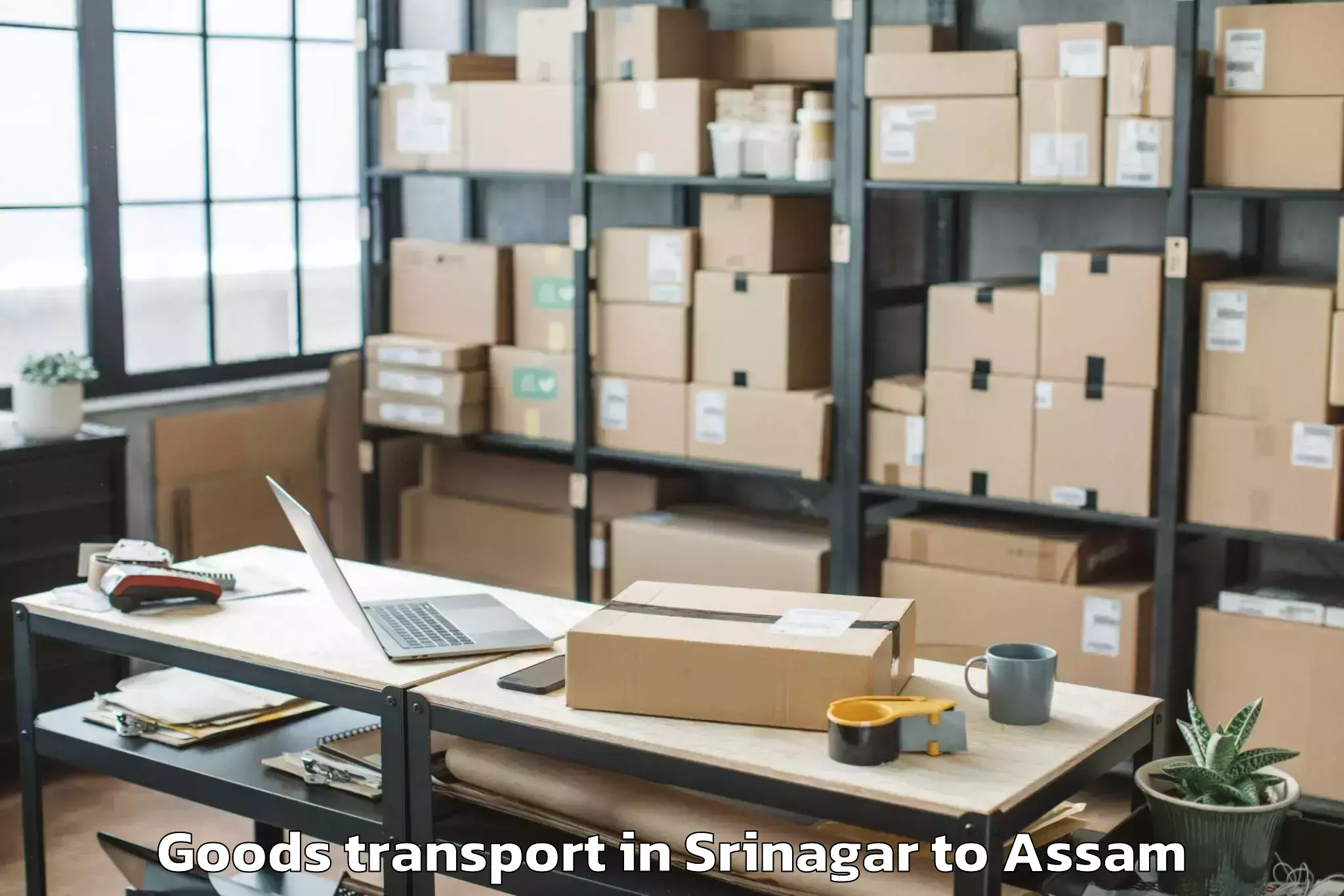 Leading Srinagar to Mayang Goods Transport Provider